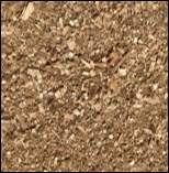 Sands & Sawdust