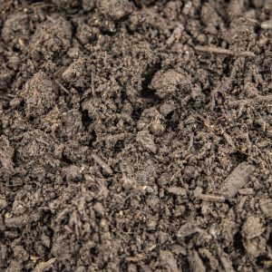 Mushroom Compost