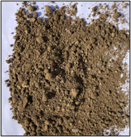 Screened Topsoil