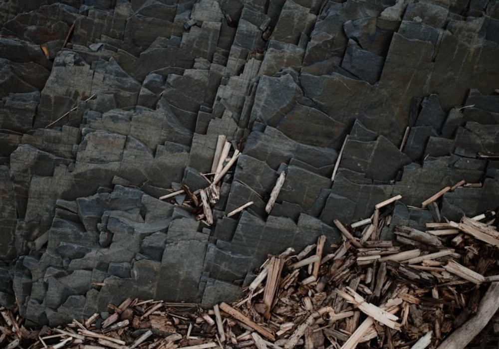 Mulch and Bark