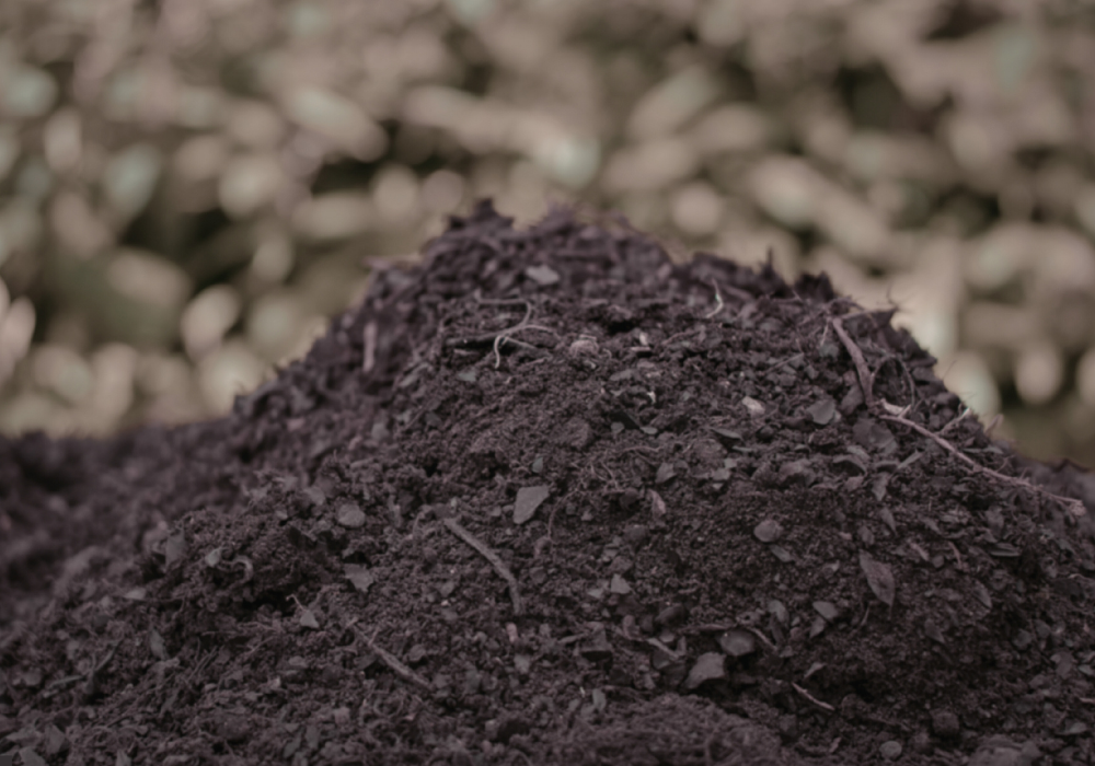 Soil & Compost